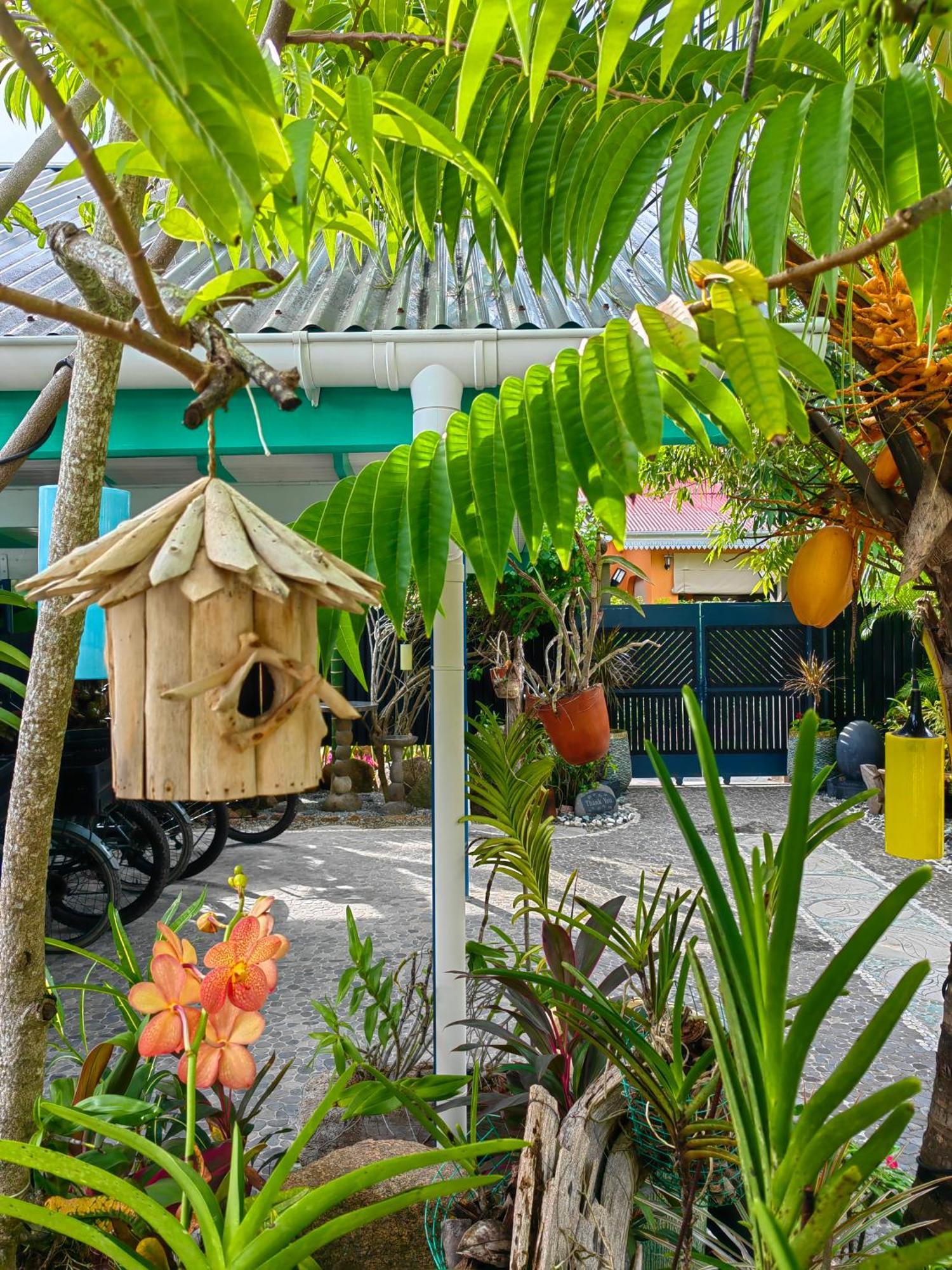 Villa Charme De L'Ile La Digue Kültér fotó
