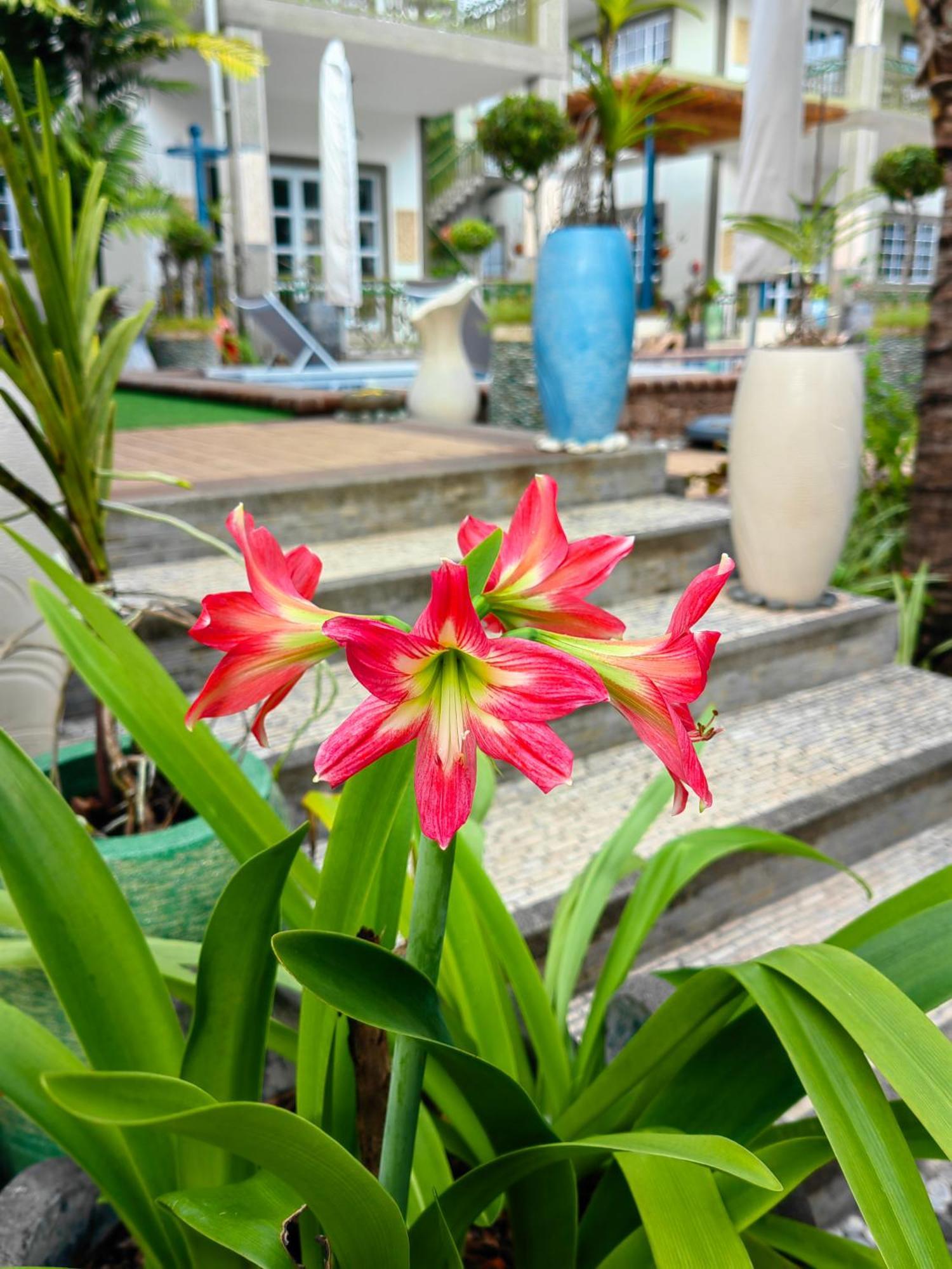 Villa Charme De L'Ile La Digue Kültér fotó